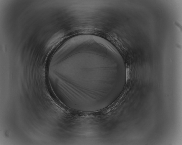 X0000091850243200709261213