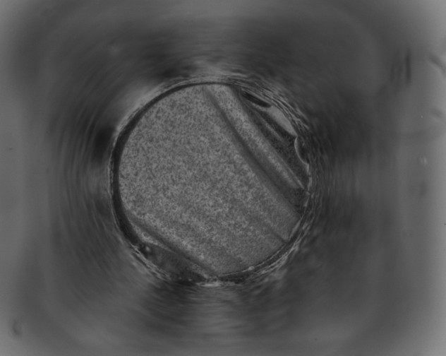 X0000091850244200709261213