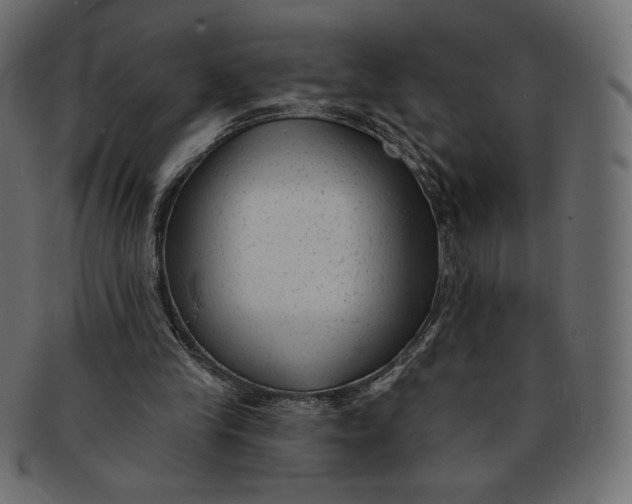 X0000091850245200709261213