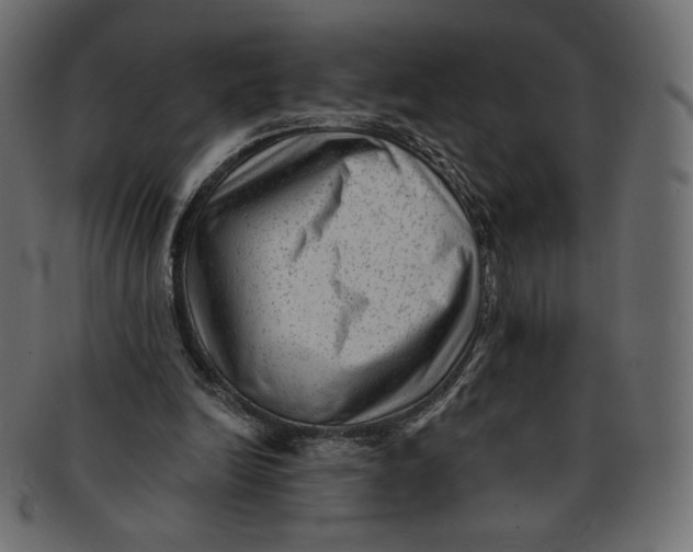 X0000091850246200709261213