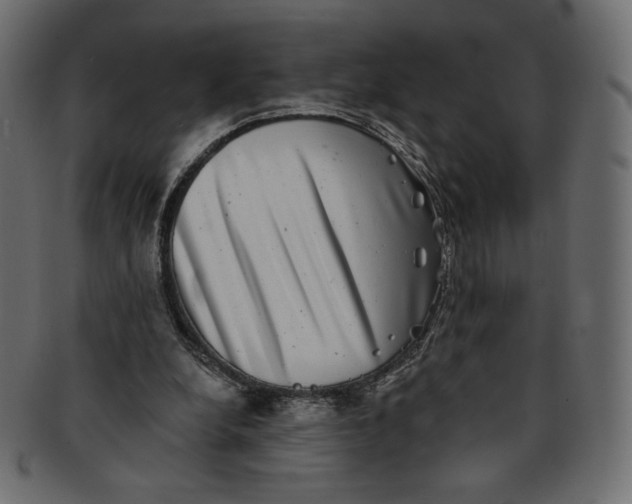 X0000091850248200709261213