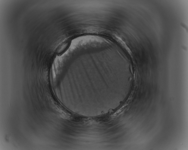 X0000091850249200709261213