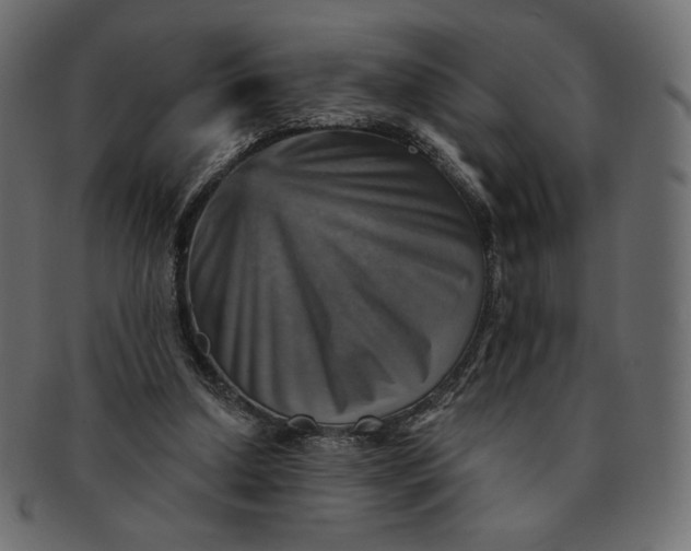 X0000091850250200709261213