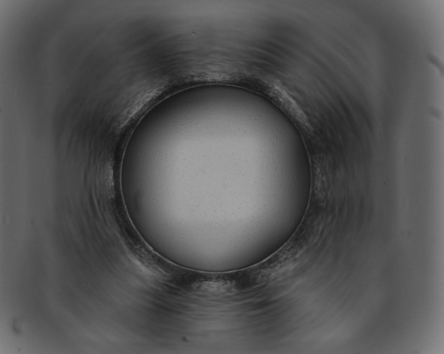 X0000091850251200709261213