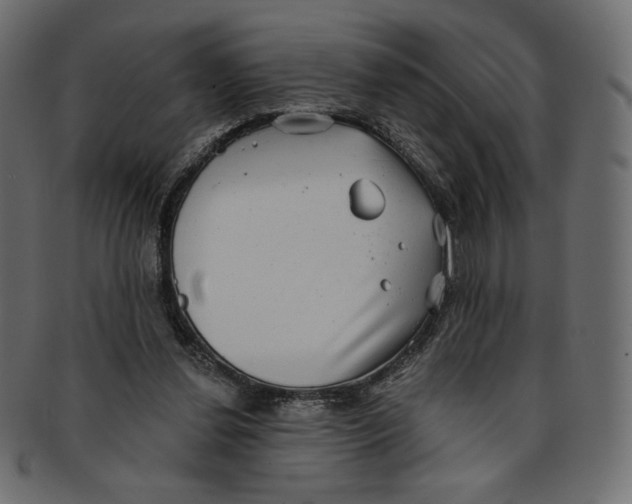 X0000091850252200709261213