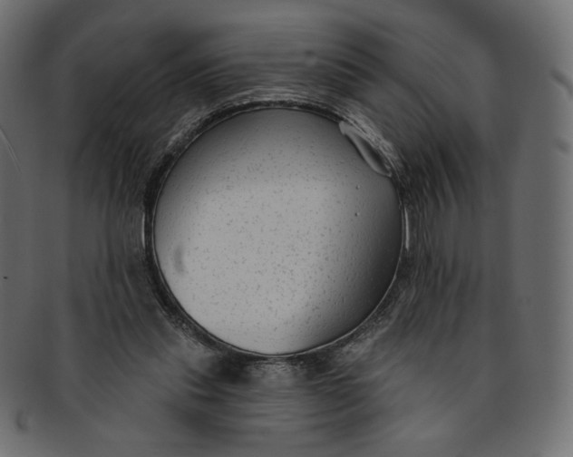 X0000091850253200709261213