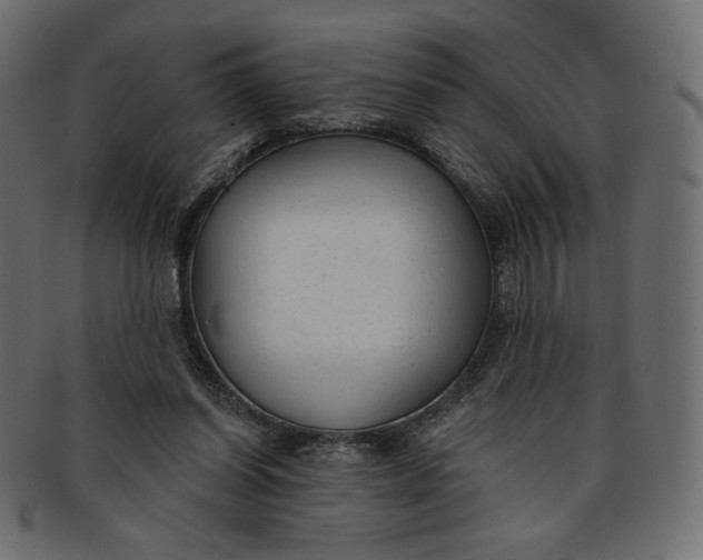X0000091850254200709261213