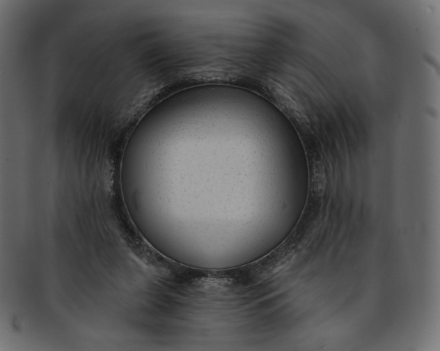 X0000091850255200709261213
