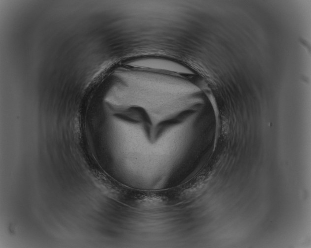 X0000091850256200709261213
