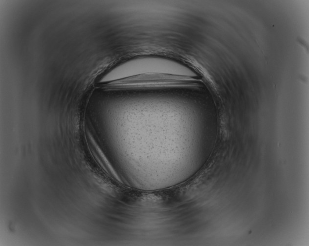 X0000091850257200709261213