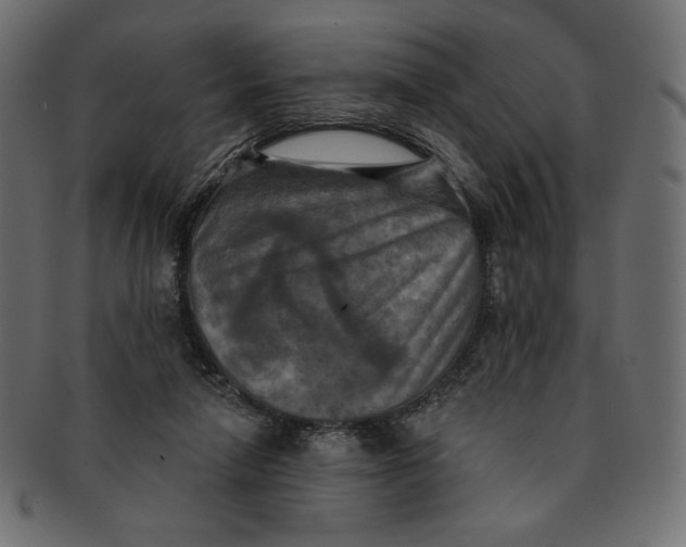 X0000091850258200709261213