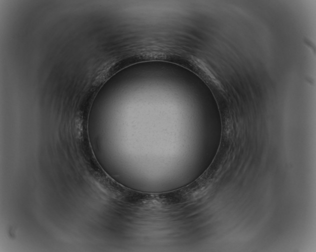 X0000091850259200709261213