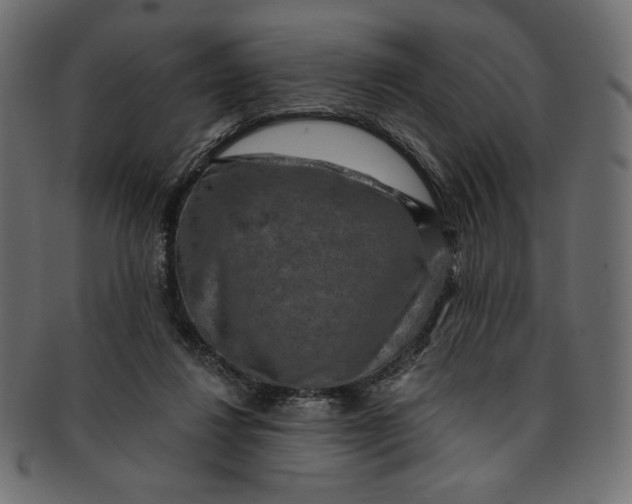 X0000091850260200709261213