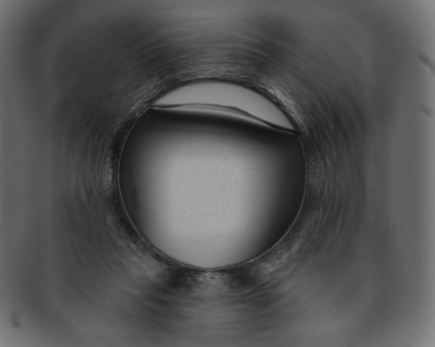 X0000091850261200709261213