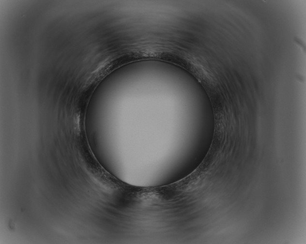 X0000091850262200709261213