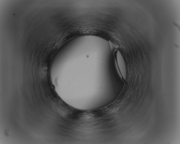 X0000091850263200709261213
