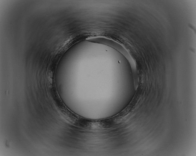 X0000091850264200709261213