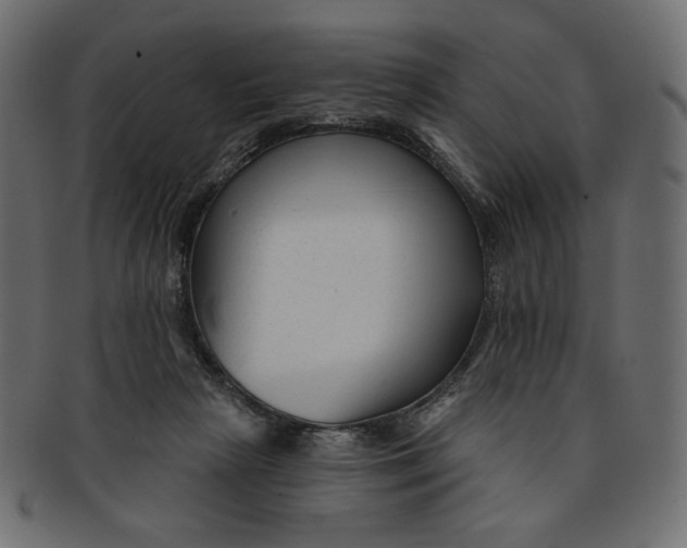 X0000091850265200709261213