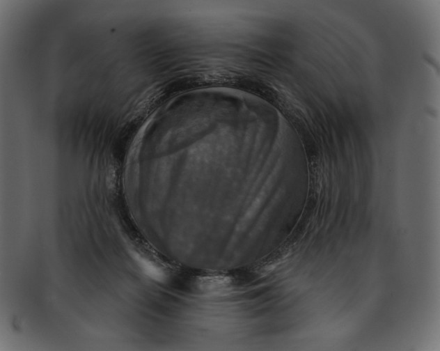 X0000091850266200709261213