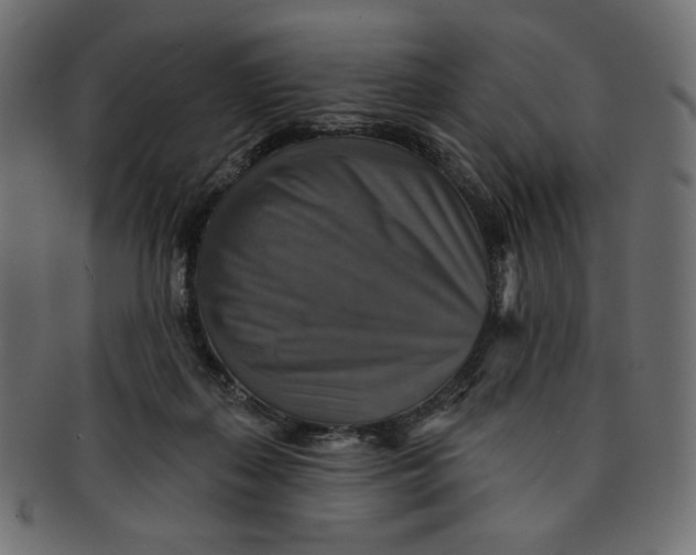 X0000091850267200709261213