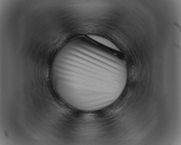 X0000091850268200709261213