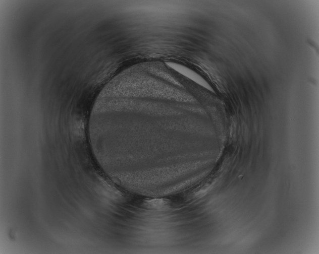 X0000091850269200709261213