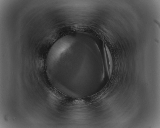 X0000091850271200709261213