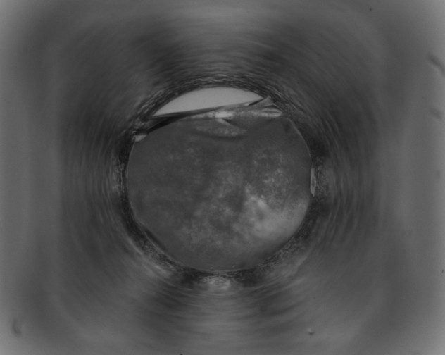 X0000091850272200709261213