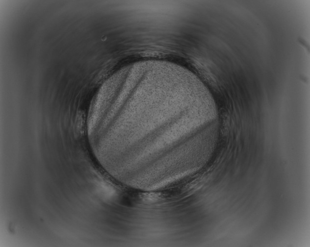 X0000091850273200709261213