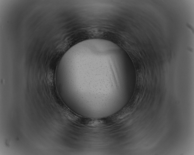 X0000091850274200709261213