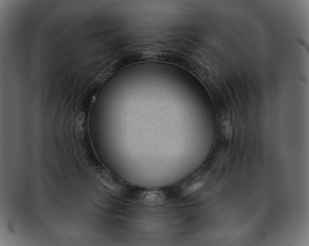 X0000091850275200709261213