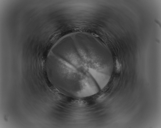 X0000091850276200709261213