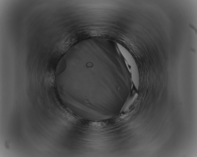 X0000091850277200709261213