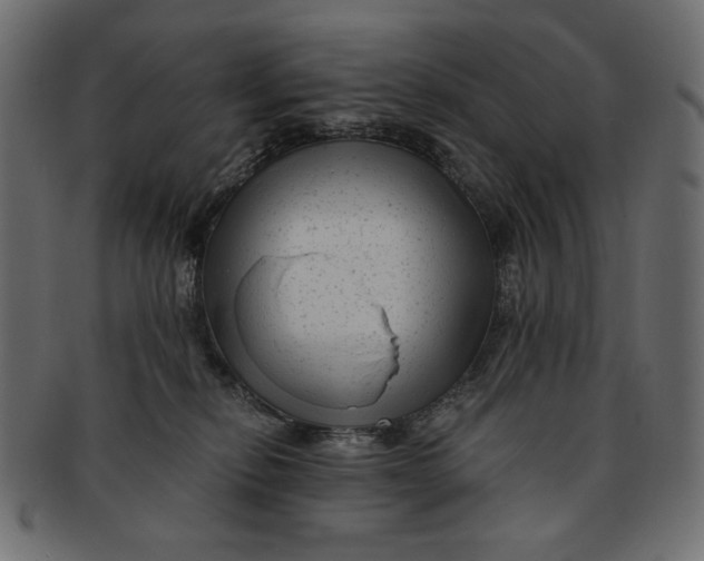 X0000091850278200709261213