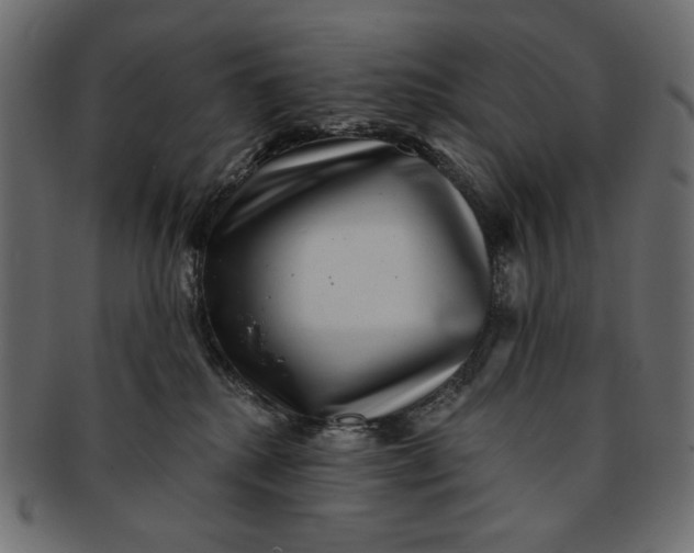 X0000091850280200709261213