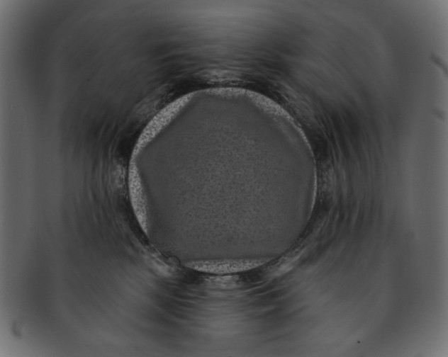 X0000091850281200709261213