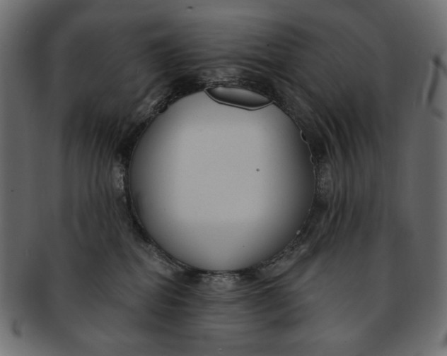 X0000091850282200709261213