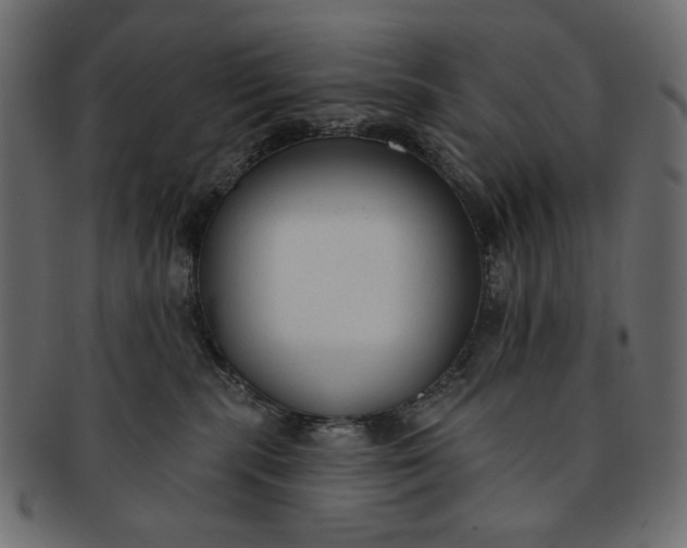 X0000091850283200709261213