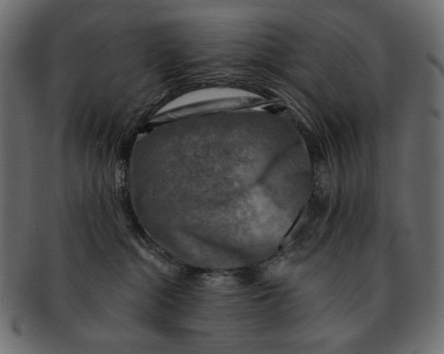 X0000091850284200709261213