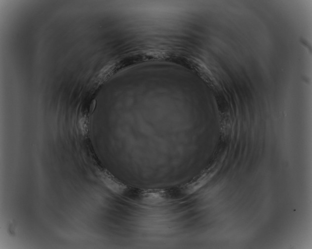 X0000091850285200709261213