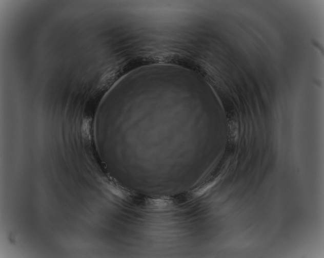 X0000091850286200709261213