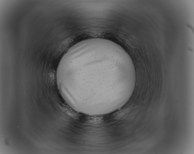 X0000091850288200709261213