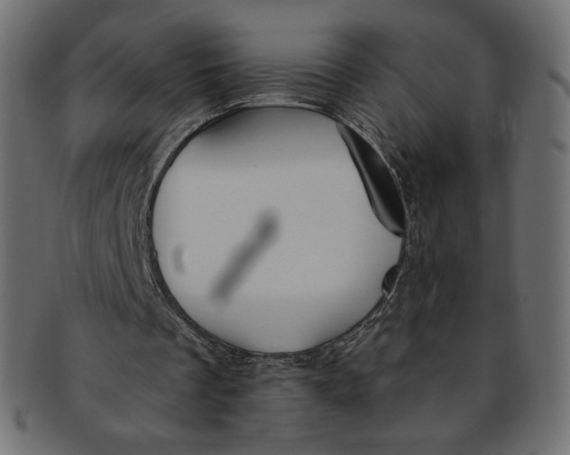 X0000091850289200709261213