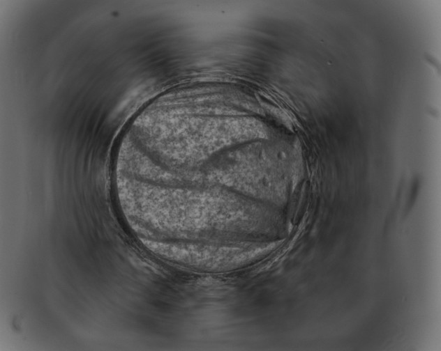 X0000091850290200709261213