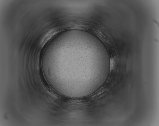 X0000091850291200709261213