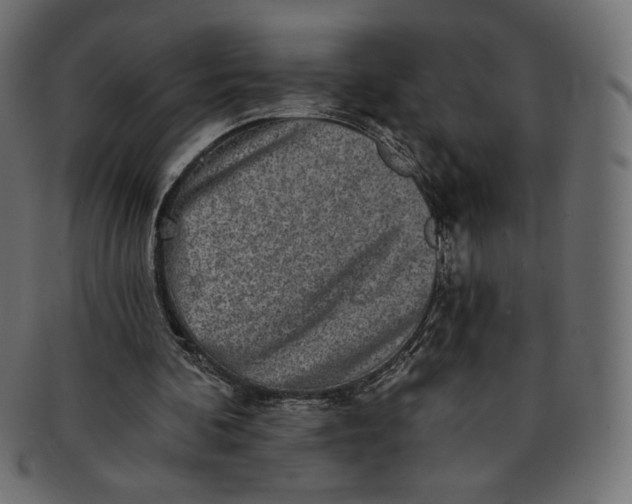 X0000091850292200709261213