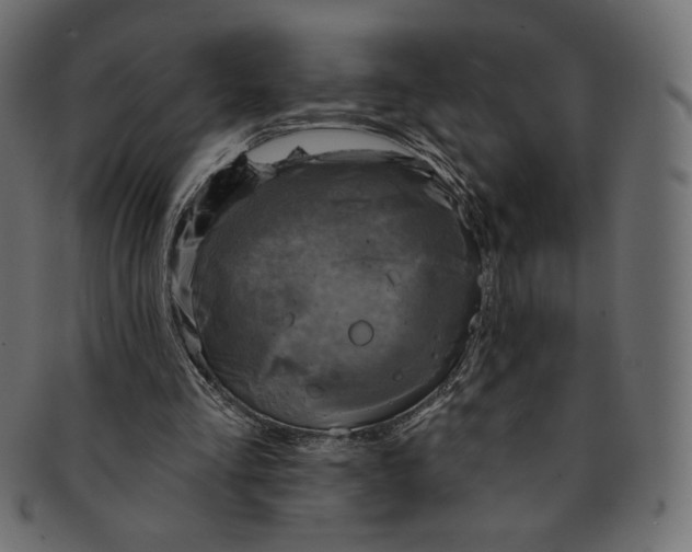 X0000091850293200709261213