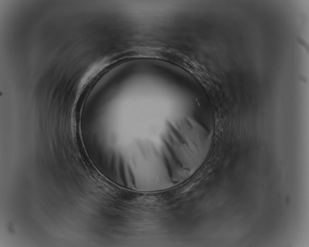 X0000091850294200709261213