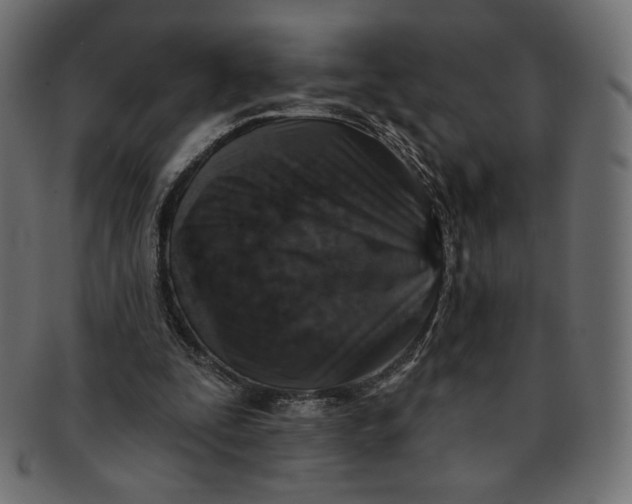 X0000091850295200709261213