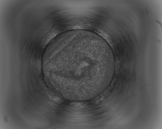 X0000091850297200709261213